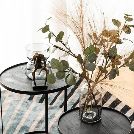 Apartament Shiny Porto