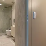 Apartament Shiny *