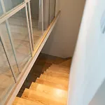 Apartament Shiny