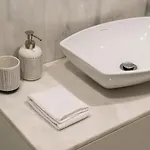 Apartament Shiny