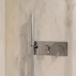 Shiny